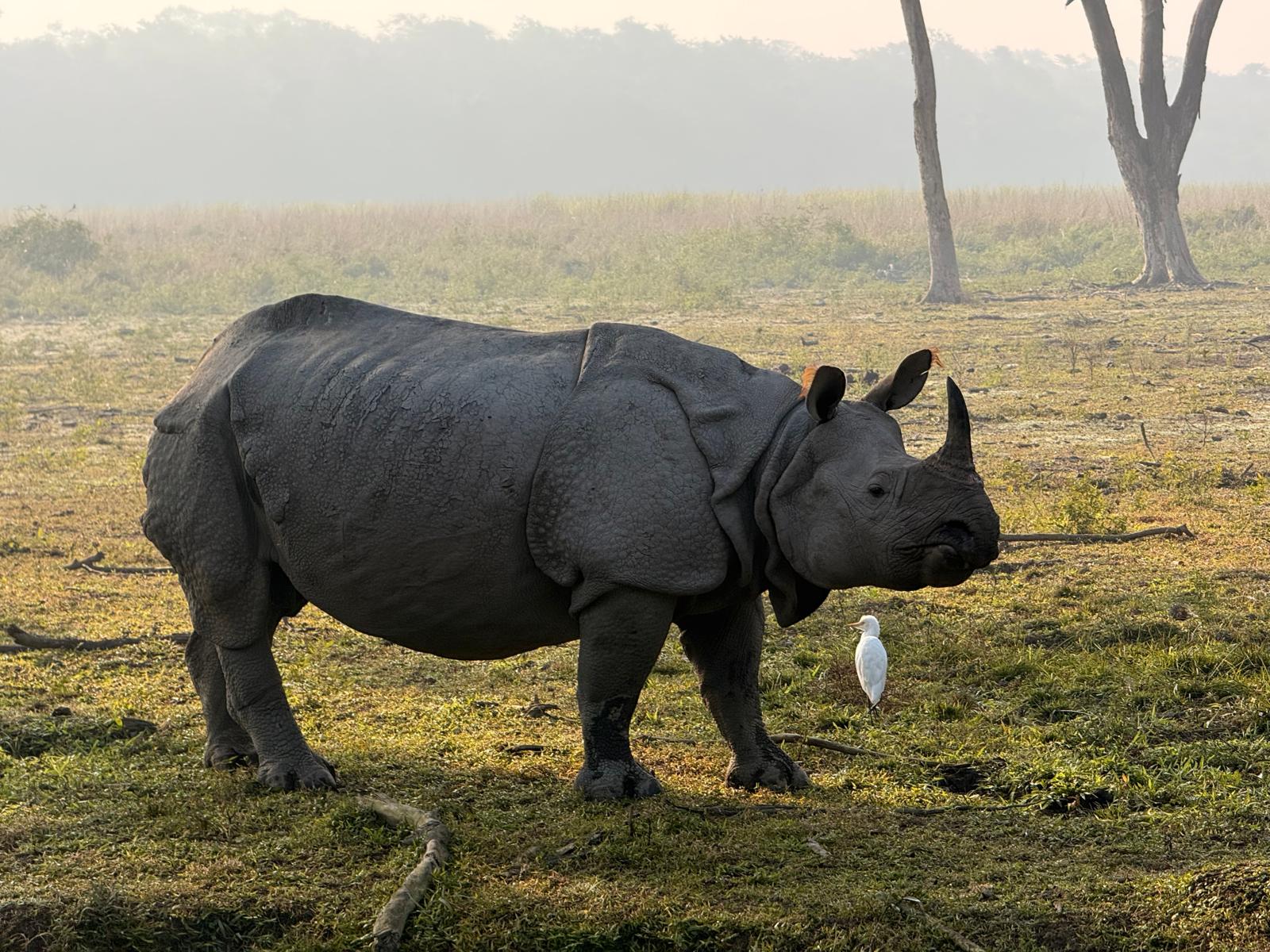 SPACE 2025 Presentation